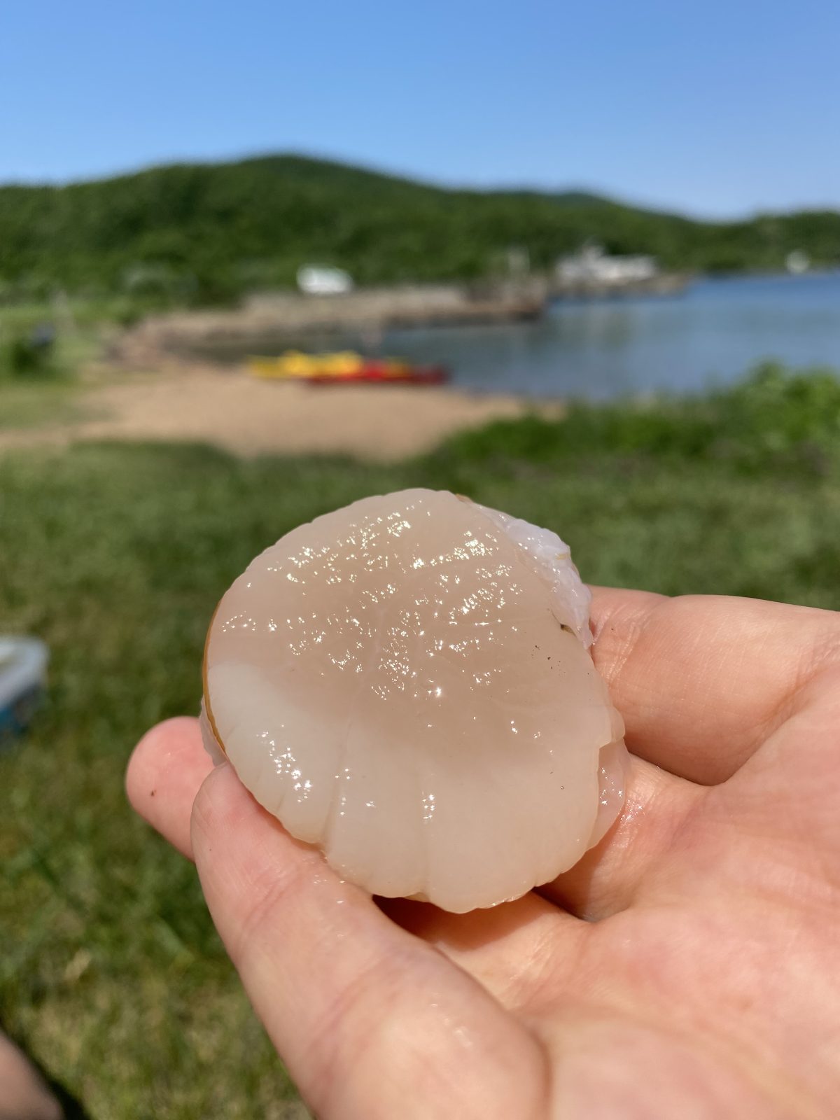 Закатные SUP'ы во Владивостоке — прогулка по морю, гребешки и ночные мосты