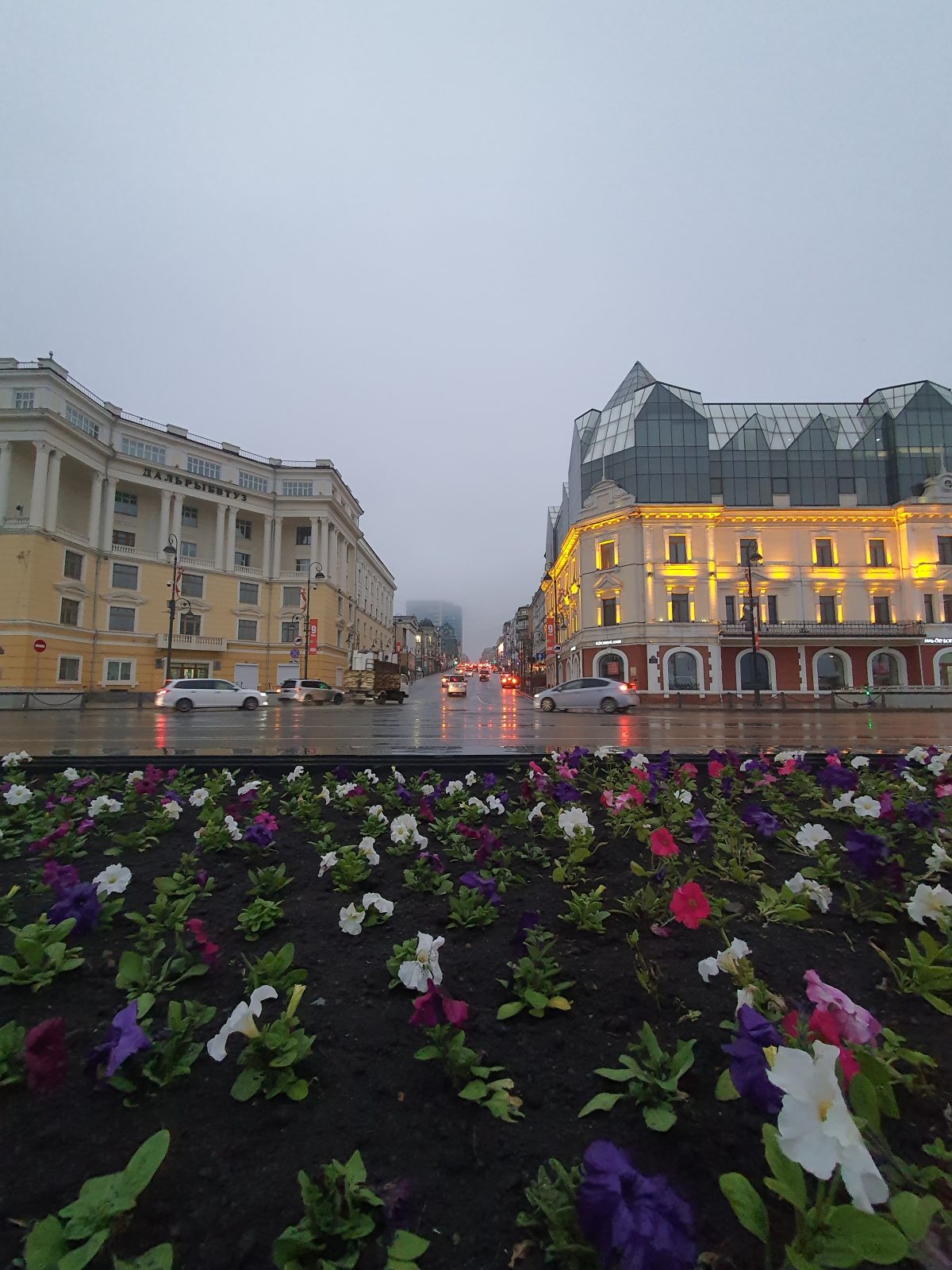 Море, маяки и мосты: большое знакомство с Владивостоком