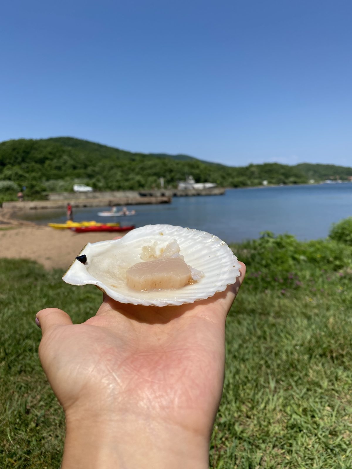Закатные SUP'ы во Владивостоке — прогулка по морю, гребешки и ночные мосты
